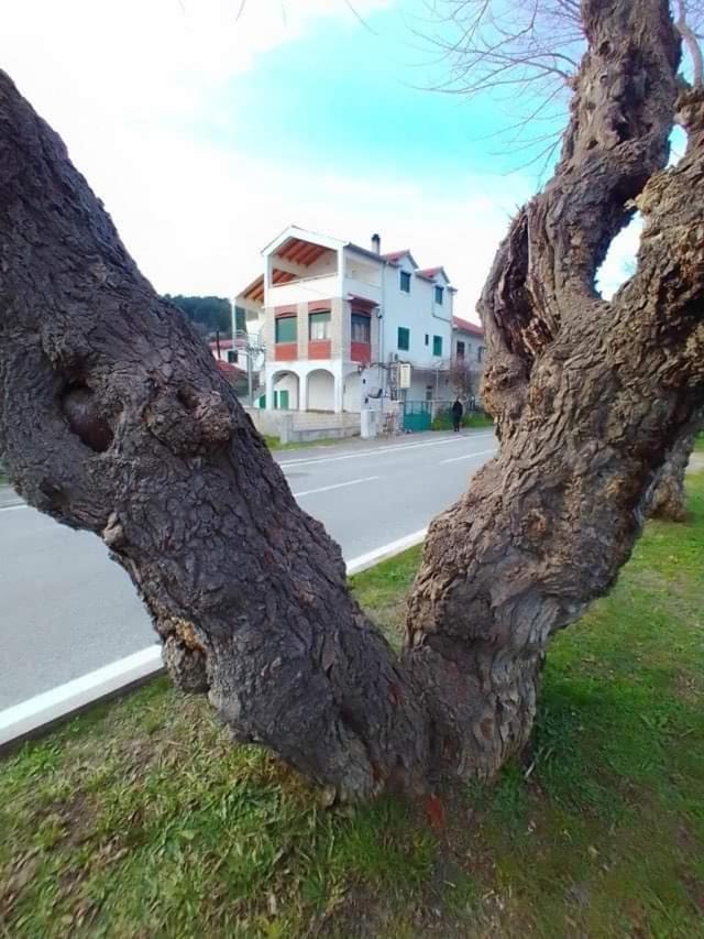 Apartments Pulic Skradin Buitenkant foto